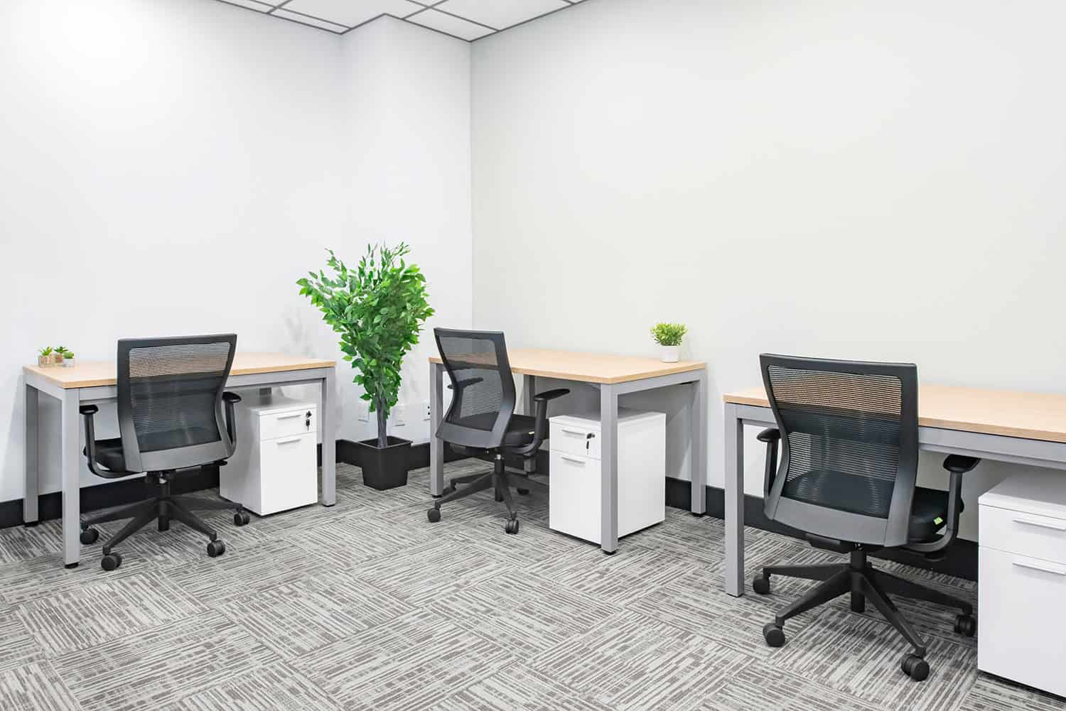 Private office at Venture X North York, 5255 Yonge Street